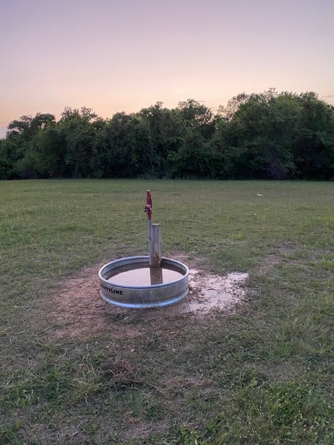 The Triumphant End